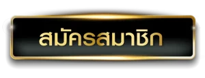 สมัครสมาชิก BY qmoney55